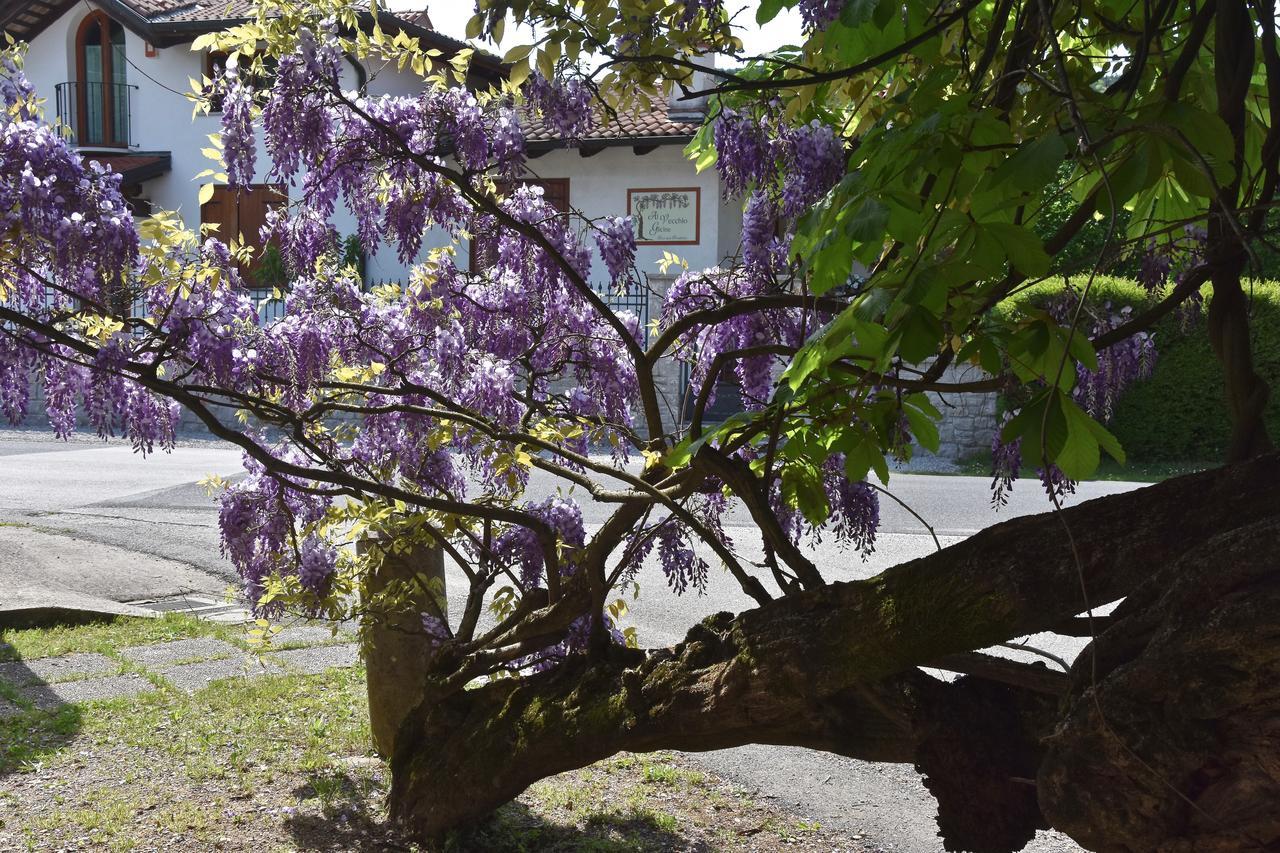 Gábria Al Vecchio Glicine Bed & Breakfast エクステリア 写真