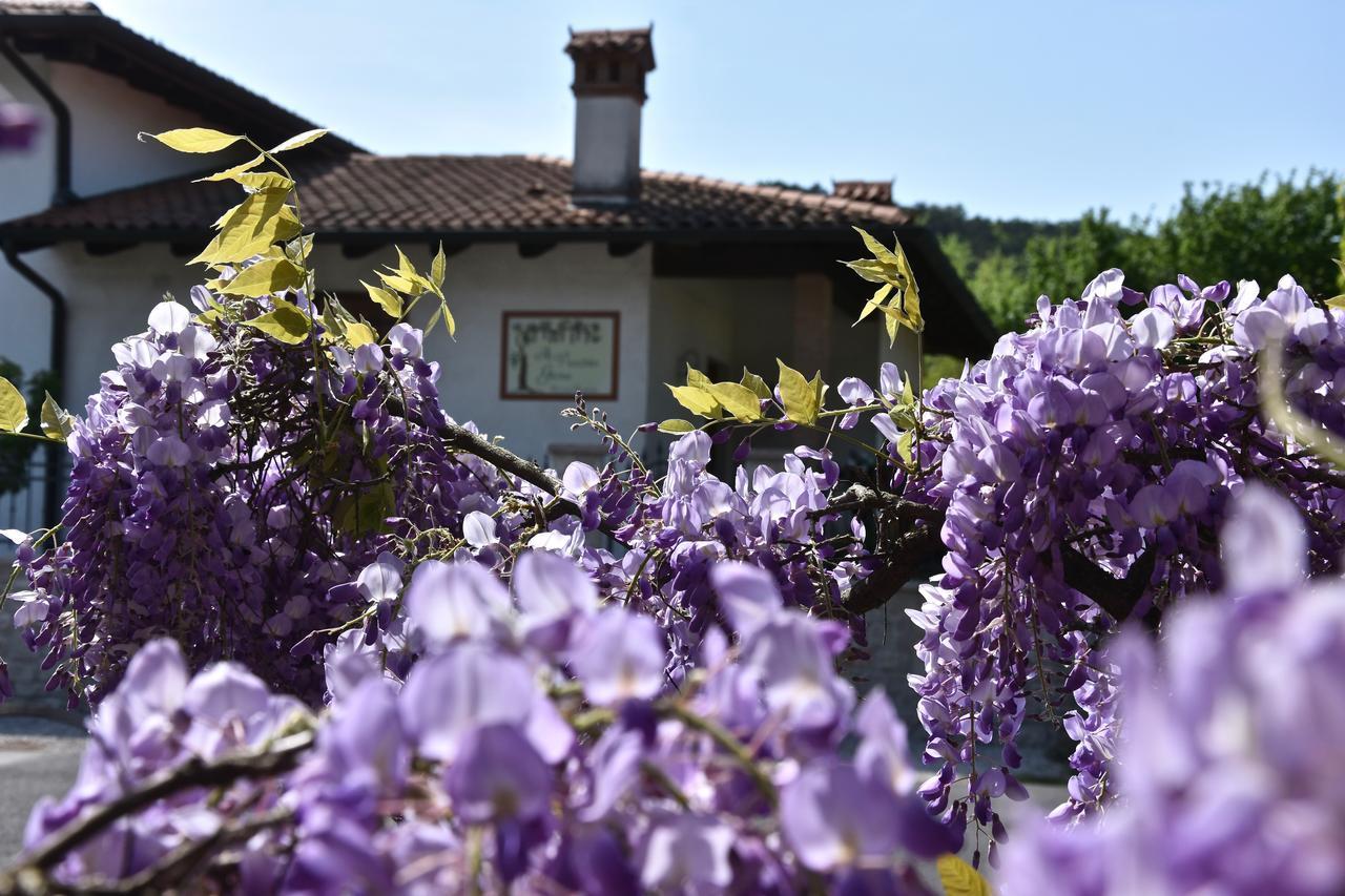 Gábria Al Vecchio Glicine Bed & Breakfast エクステリア 写真